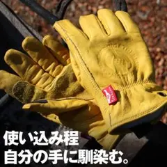 Item thumbnail for item 614b13f4-22e4-4ac2-a109-7a12f42cb8ba