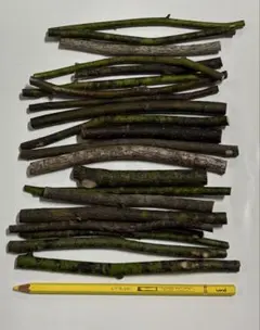 クロモジ　自然素材　無農薬　無洗浄　枝　色々　不揃い枝　130g位　⑤のサムネイル