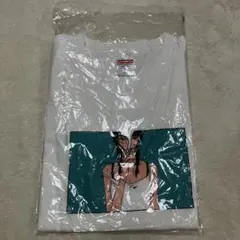【新品未使用・希少品】United athle レディースTシャツ(Lサイズ)のサムネイル