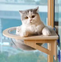 猫用 ハンモック 窓 宇宙船型 猫ベッド 強力吸盤 半球 透明 耐荷重20kgのサムネイル