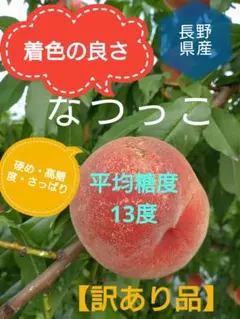 桃【なつっこ】家庭用 3キロのサムネイル