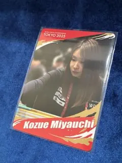 Item thumbnail for item 2c90df33-5831-4614-b668-6dbe2432b0a5