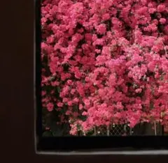 .様 リクエスト 2点 まとめ商品