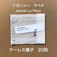 ごん様 リクエスト 2点 まとめ商品