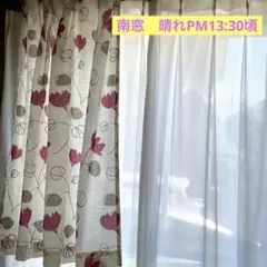 新品カーテン　お得　100×135㌢丈　２枚入　白地　赤と茶の花柄　遮光なし