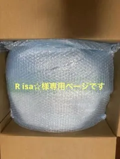 R isa☆様専用ページです
