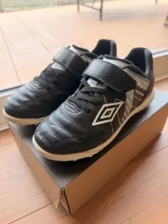 Item thumbnail for item ed1604c9-fbb8-4ba9-87cf-ffa4bcecd8ee