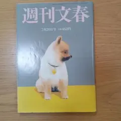 週刊文春　7月20日号　2023年