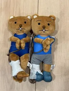 Item thumbnail for item 8a659f52-f4f5-434b-b4b6-edb22ae0aeef