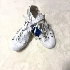 定価税込33000円！ミズノ　クロノインクス25th 25.0㌢　新品未使用