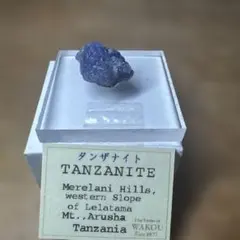 ✨希少！輝く結晶！タタフィン隕石標本 希少！輝く結晶！タタフィン隕石標本 - メルカリ