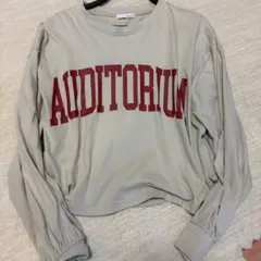 Helm ロンT カットソー ベージュ ロングTシャツ しまむら