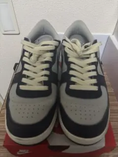 NIKE TERMINATOR LOW FN6830-001 ターミネーター