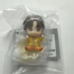 【未開封】スングァン SEVENTEEN petiTEEN すわらせ隊