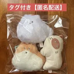 Item thumbnail for item b8dbe360-f67f-4eba-a84d-8fe040aaf04d