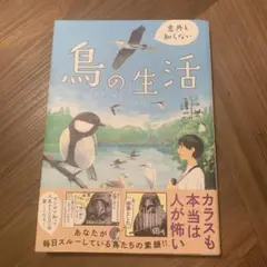 意外と知らない鳥の生活