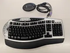 2026年最新】Microsoft エルゴノミクス キーボードの人気アイテム