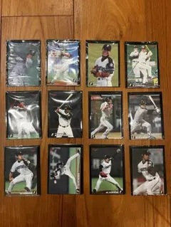 カルビープロ野球カード【ダルビッシュ有3枚】日本ハム23枚