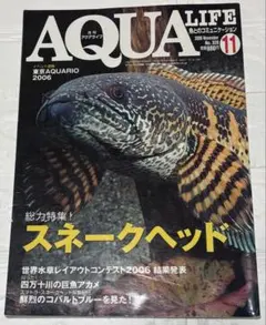 アクアライフ 2006年11月号 スネークヘッド特集