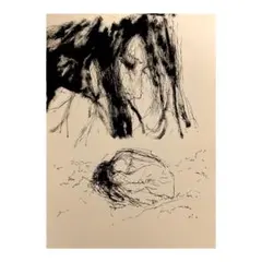 直筆サイン入り 川内理香子 作品集 ドローイング画集 - メルカリ