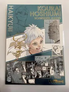 ハイキュー 箔押しイラストカードコレクション 星海光来