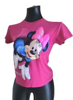 1【値下げ】送料込み　1999　カリフォルニア　ディズニーランド　Tシャツ　Mのサムネイル