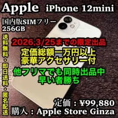 ✨国内版SIMフリーモデル✨Apple iPhone 12mini 256GB