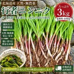 常温発送　道北産　朝採り天然行者ニンニク　3kg 常温発送 道北産 朝採り天然行者ニンニク 3kg - メルカリ