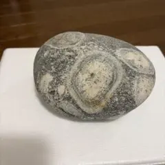 ナポレオン石 13kg 時計石 球状閃緑岩 原石 鑑賞石 自然石 紋石 水石