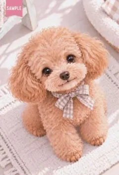 No.12｜トイプードル ふんわり癒し系アートポストカード｜犬・インテリア