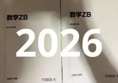 数学ZX(関西EXクラス限定) 2024年後期のみ 駿台 - メルカリ