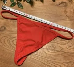 tバック セパレート水着