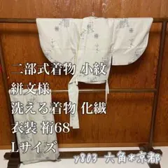 二部式 着物 小紋 絣文様 洗える着物 化繊 衣装 Lサイズ 裄68 y803