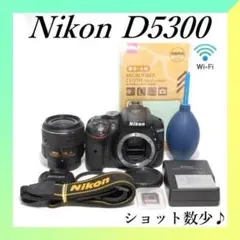 ✨Nikon D5300✨ショット数8566✨Wi-Fi✨初心者向け✨一眼レフ✨のサムネイル
