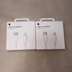 Apple 充電器