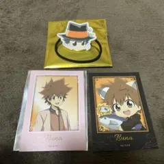 リボーン ツナ ナンジャ