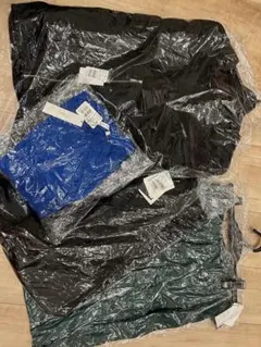 Item thumbnail for item e097d86c-f9b0-4ae9-8000-bef8f9c7c808