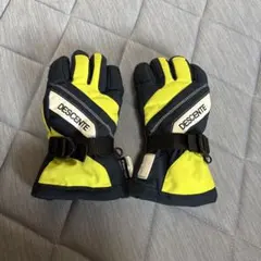 スキーグローブ