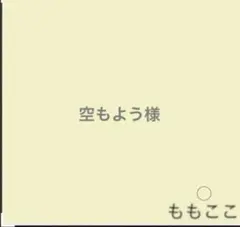 空もよう様専用☆ハンドメイドスタイ&抱っこ紐カバー