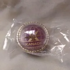 宵崎奏 プロセカ セカライ5th リングライト