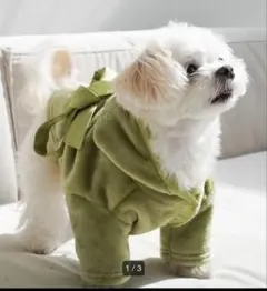 アマテラス ドッグウェアS(〜4kg)犬服のサムネイル