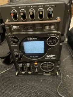 Item thumbnail for item 19ff1741-2c79-4c8f-8a30-d612c484445b