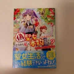 Item thumbnail for item 817073dc-512a-4488-ba7b-3a901840f6fc