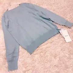 新品✨　Pierrot ピエロ　（L） 長袖ニット　セーター　薄手　Vネック