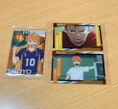 ハイキュー　ウエハース3　日向翔陽　西谷夕