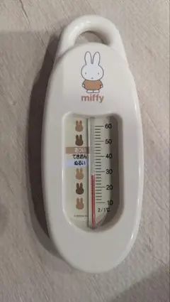 Item thumbnail for item f226e8d0-5c7e-42e8-abab-e81c04cb86cd