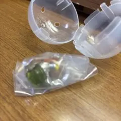 コジャケめじるし