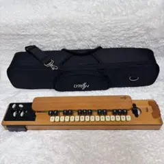 2025年最新】ライリッシュ 大正琴の人気アイテム - メルカリ