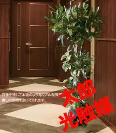 ポニョ様 リクエスト 3点 まとめ商品