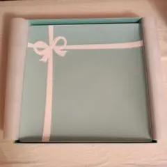 【二枚組】ティファニー リボンガーランドプレート Tiffany & Co. ティファニー 2枚セット リボンガーランド プレート